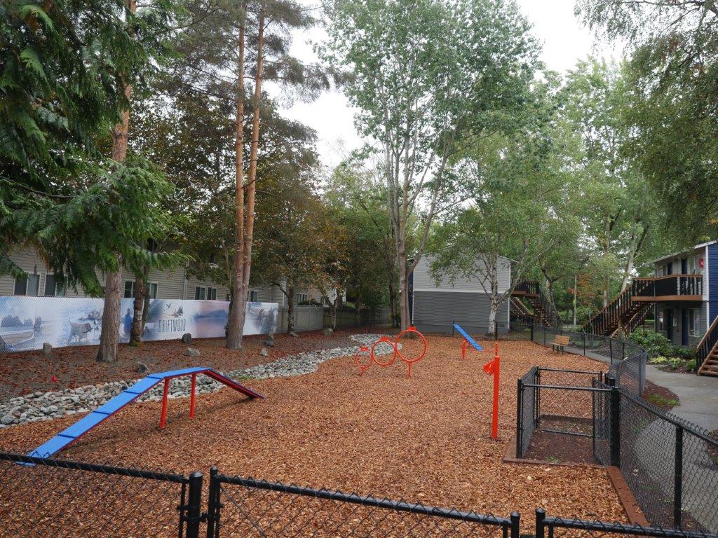 dog playset outdoor